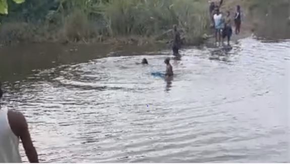 caught the crocodile thinking it was a fish and chewed her hand, watch the video