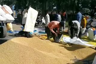 RFC declared support price of paddy