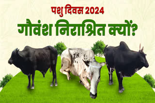 WORLD ANIMAL DAY 2024