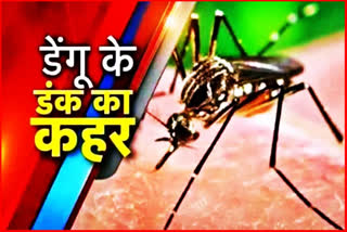 Dengue increased in Haryana