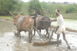 PM Kisan Samman Nidhi Yojna