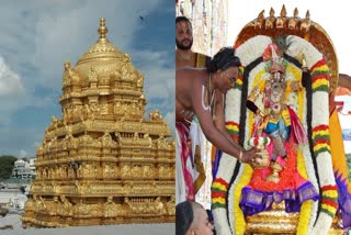 Lord Malayappa Rides Chinna Sesha Vahanam