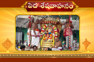 tirumala_pedda_sesha_vahanam