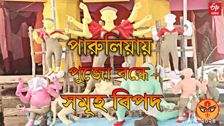 Parulia Zamindar Bari Durga Puja