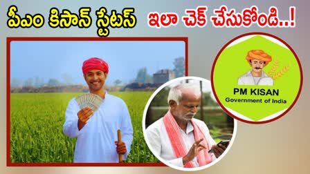 PM Kisan 18th Installment Status