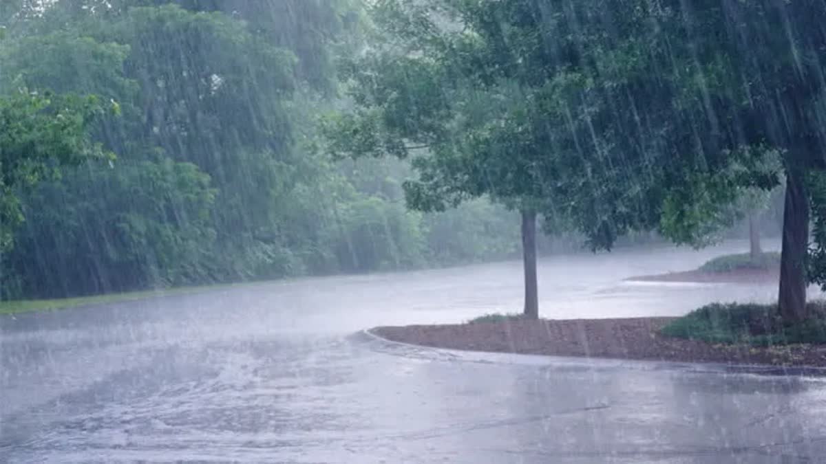 Rain alert  Weather Update yellow alert In Kerala  Weather Update  yellow alert  സംസ്ഥാനത്ത് മഴ തുടരും  orange alert  മഴ മുന്നറിയിപ്പ്  Rain warning  ഇടിമിന്നല്‍ ശ്രദ്ധിക്കേണ്ടത്  Watch out for thunderstorms  Weather Update In Kerala