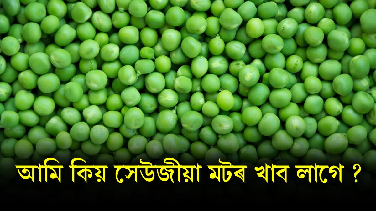 Why should one eat fresh green peas in winter? You will get these unmatched benefits along with protein