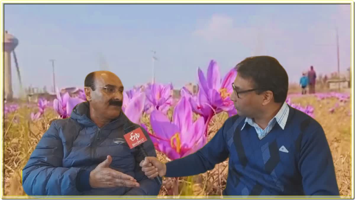 Director agriculture Kashmir Interview