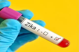 Zika virus confirmed in Thalassery court  Zika virus  Thalassery court  Zika virus kannur  kannur court Zika virus  തലശ്ശേരി കോടതിയിലേത് സിക വൈറസ്  സിക വൈറസ്  സിക വൈറസ് സ്ഥിരീകരിച്ചു  വൈറോളജി ലാബ് പരിശോധന ഫലം  ജഡ്‌ജിമാർക്ക് സിക വൈറസ്