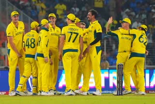 australia won by 33 runs