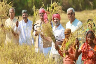 Rahul Gandhi Shares Video With CG Farmers