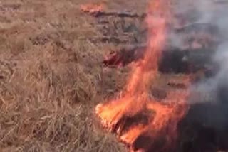More incidents of stubble burning a matter of serious concern