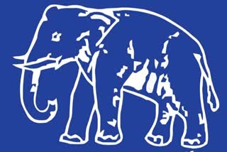 BSP released 5th list,  announced names of candidates