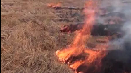 The Commission for Air Quality Management (CAQM) in the National Capital Region (NCR) and adjoining areas has informed the Supreme Court that it has developed a framework for the prevention and control of paddy stubble burning and effective management techniques for paddy stubble. The Commission said the high incidence of paddy stubble burning in Punjab and Haryana has been a matter of serious concern and has been contributing adversely to the air quality scenario in the NCR, particularly during the winter. According to the Commission's data Punjab farm fire count has dropped to 49,922 in 2022, from 83,002 in 2020, and for Haryana from 4,202 in 2020 to 3,661 in 2022.