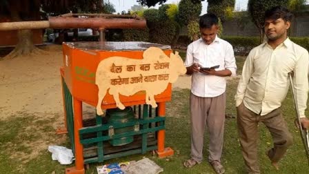 Electricity using bulls to be used for illuminating cowsheds in Meerut