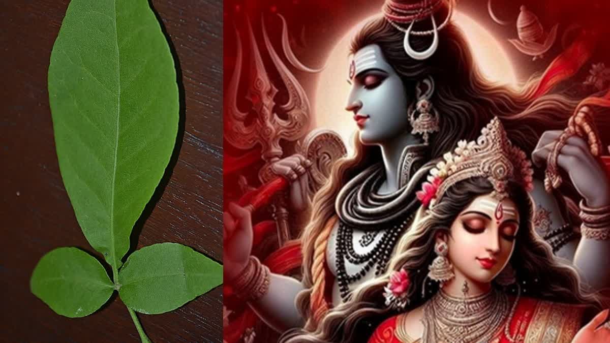 Significance of Bilva Patra