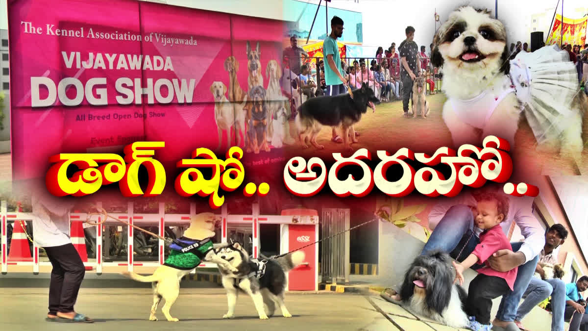 dog_show_programme_in_vijayawada