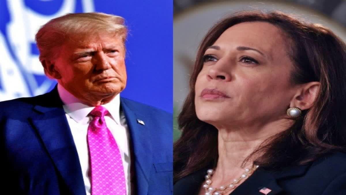 യുഎസ് പ്രസിഡൻ്റ് തെരഞ്ഞെടുപ്പ്  US PRESIDENTIAL ELECTION 2024  KAMALA HARRIS  US PRESIDENTIAL ELECTION SURVEY