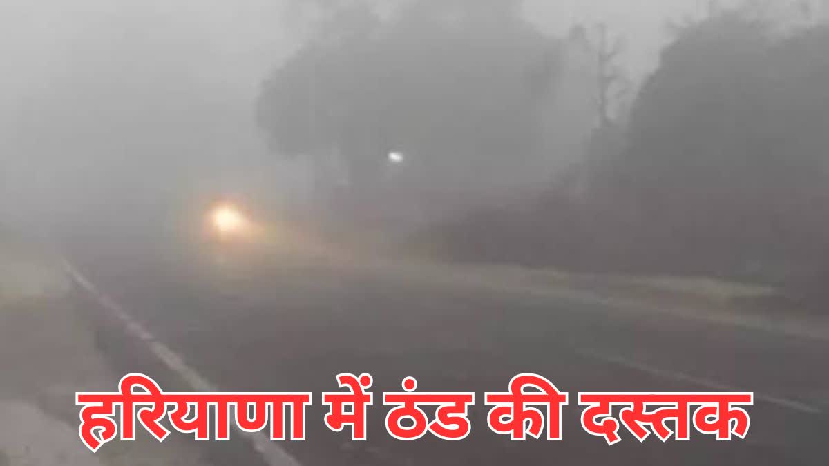 haryana weather update