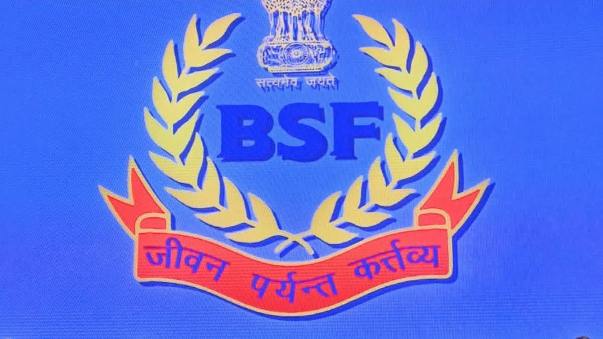 BSF Nabs Pakistani Intruder On India-Pakistan Border In Sriganganagar