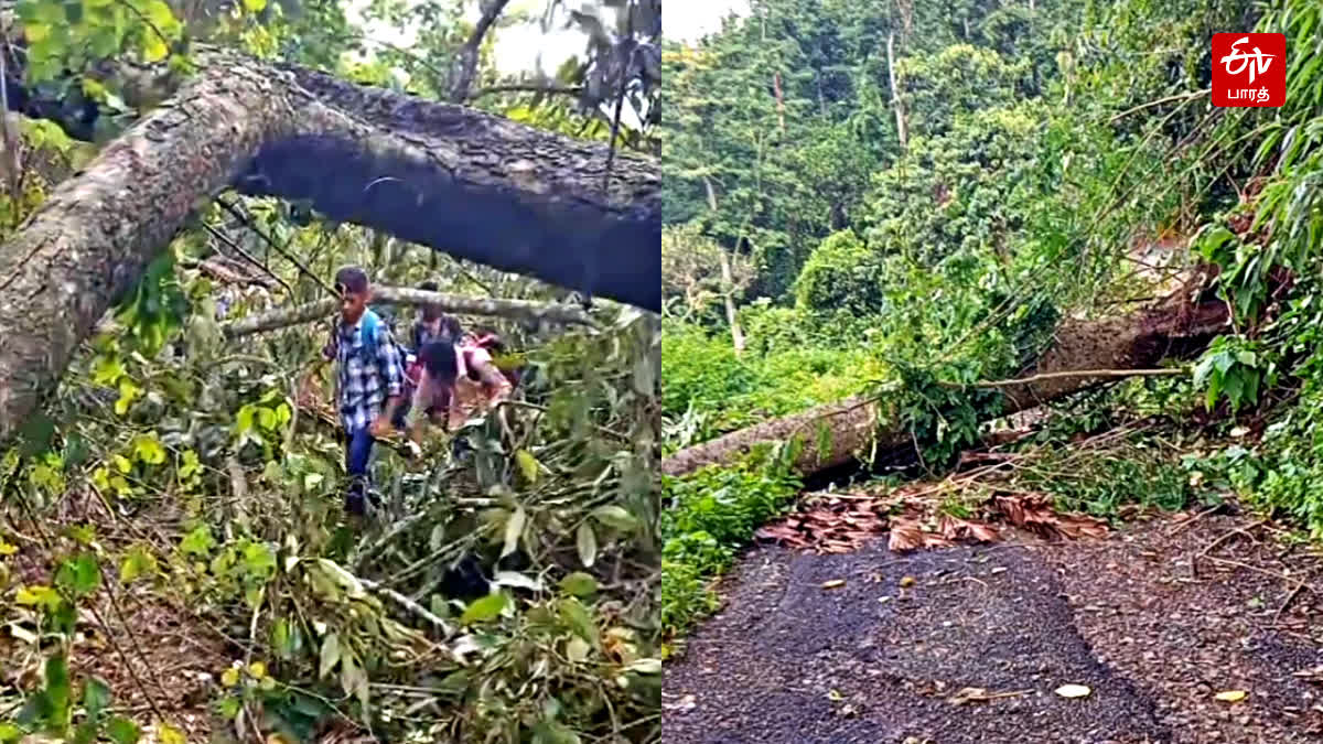 hill road damage for rain  theni rain  Agamalai Village  அகமலை