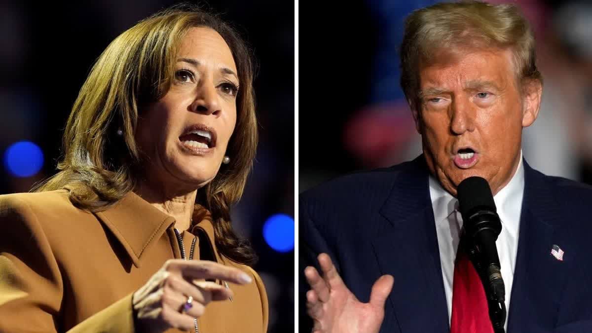 US Election Results 2024 effect on India-US Ties Donald Trump Kamala Harris Experts Views