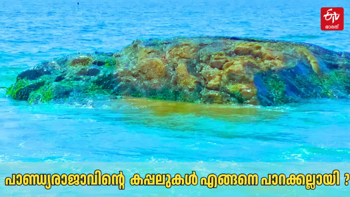 കപ്പലുകൾ പാറക്കല്ലായി മാറി  കാസർകോട് തൃക്കണ്ണാട് ക്ഷേത്രം  PANDYA KINGS SHIPS TURNED INTO ROCK  TRIKKANNAD TRYAMBAKESHWARA TEMPLE