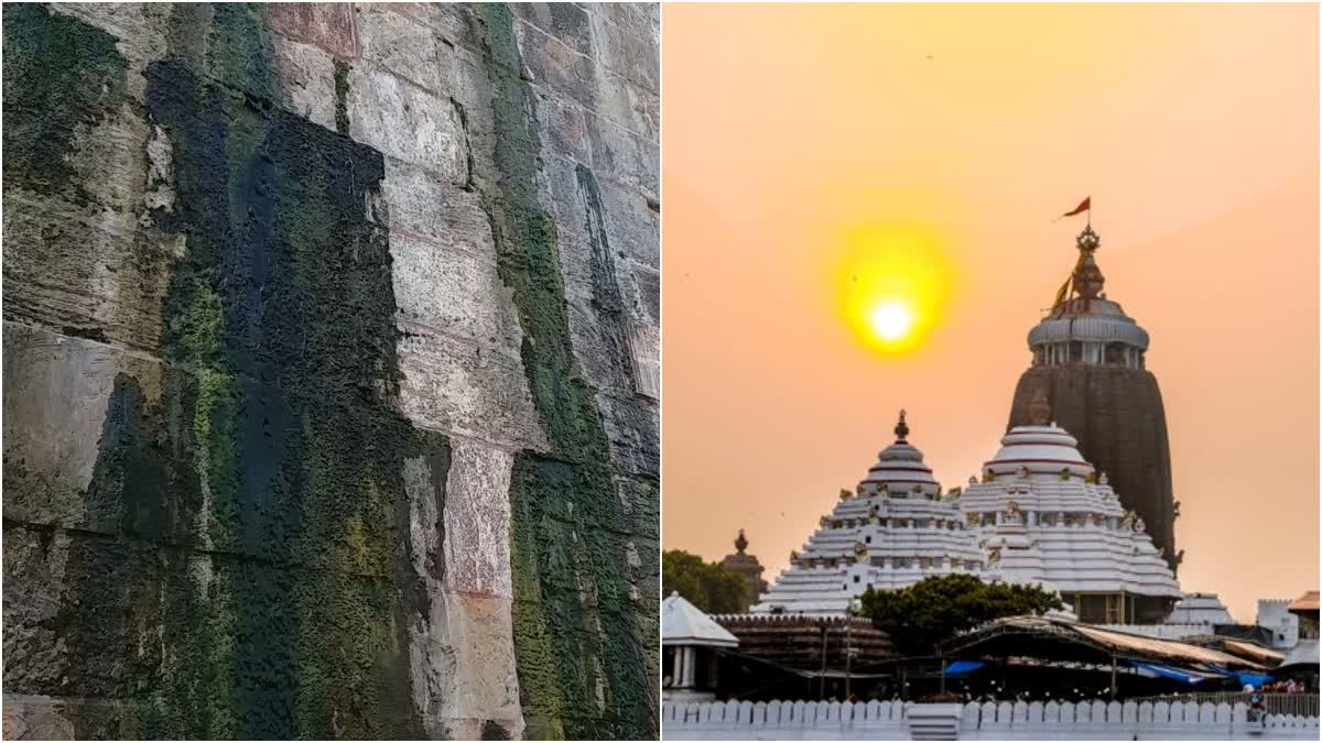 PURI SHREE JAGANNATH TEMPLE