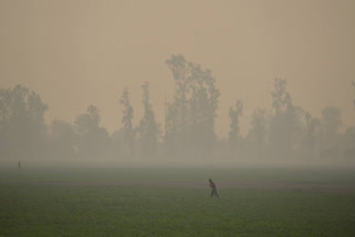 Lahore's Air Quality Index reaches dangerous levels, leading to school closures from November 4-9 as authorities enforce green lockdown and combat stubble burning.