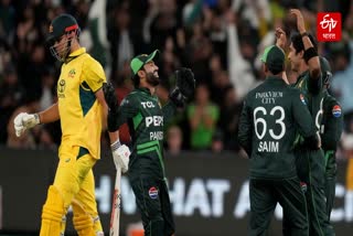 AUS Beat PAK by 2 Wickets