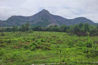 കേരള ക്രിക്കറ്റ് അസോസിയേഷൻ  NEW CRICKET STADIUM IN PALAKKAD  ക്രിക്കറ്റ് സ്‌റ്റേഡിയം പാലക്കാട്  LATEST NEWS IN MALAYALAM