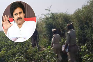 Deputy CM Pawan Kalyan