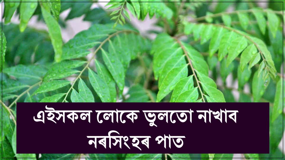 Health Benefits of Curry leaves