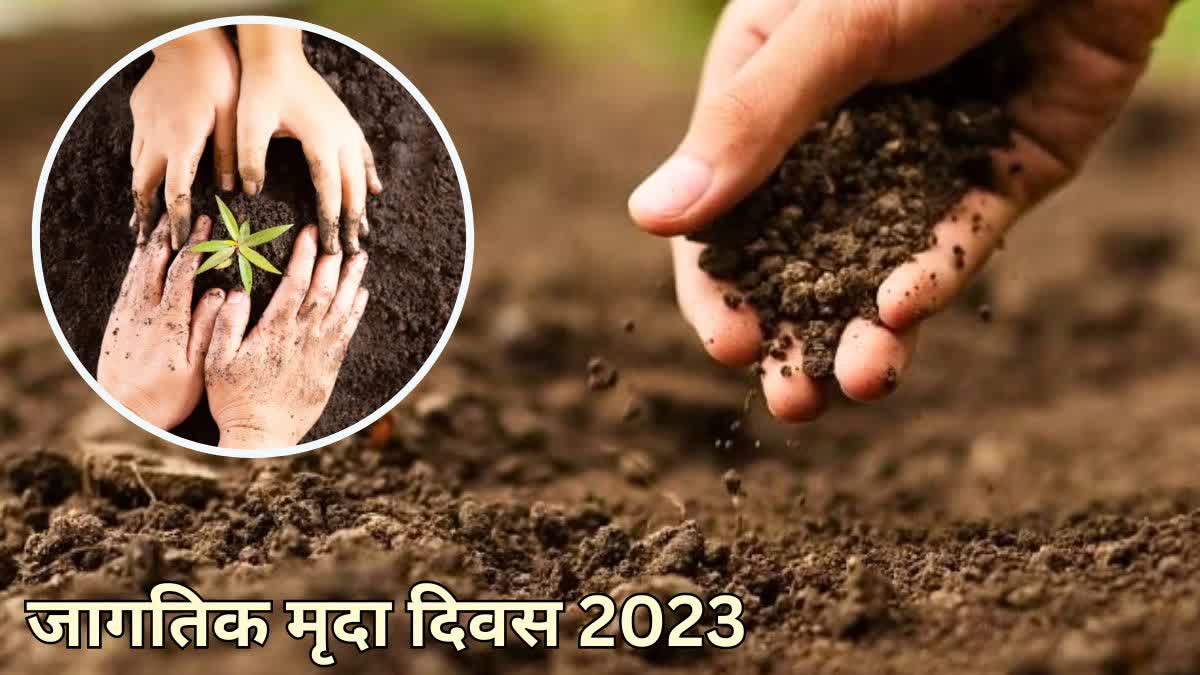 World Soil Day 2023