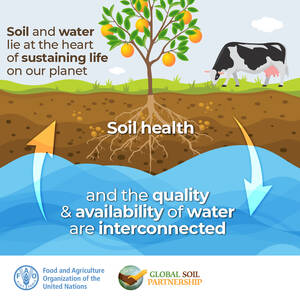 World Soil Day 2023