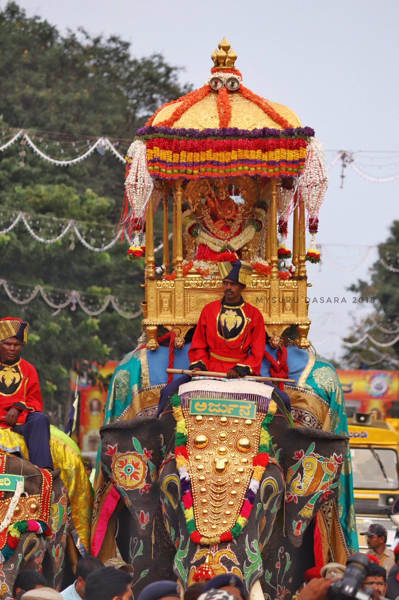 dasara-elephant-arjuna-dies