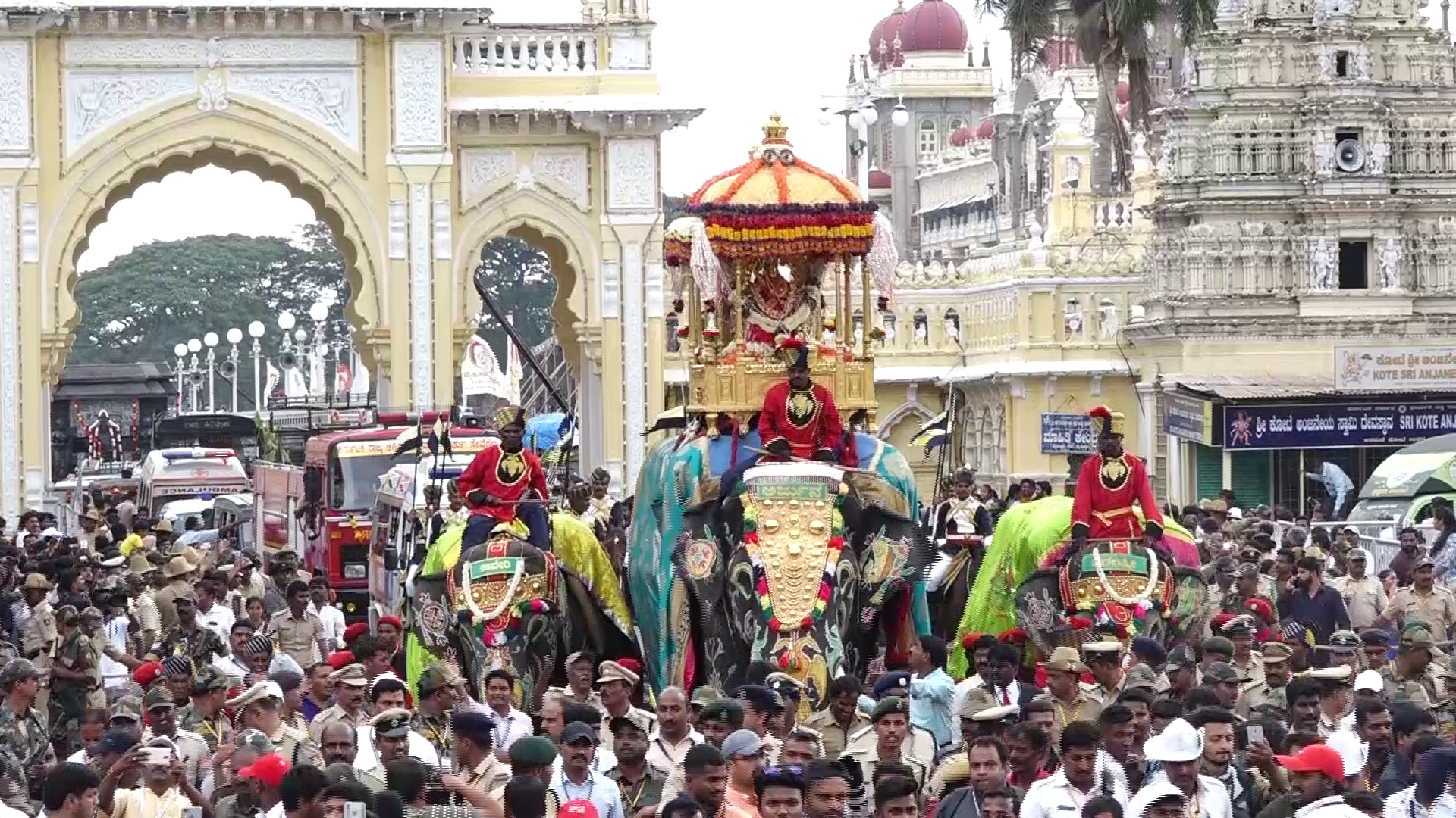mysore-dasara-elephant-arjuna-died
