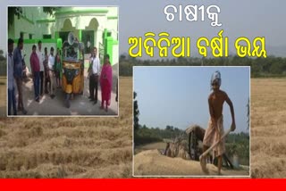 ଚାଷୀକୁ ଅଦିନିଆ ବର୍ଷା ଭୟ