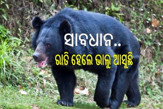 ରାତି ହେଲେ ଘରେ ପଶୁଛି ଭାଲୁ