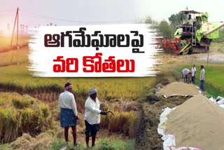 Farmers_Suffering_due_to_Cyclone_Michaung