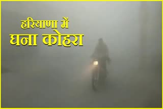 Yellow alert issued regarding dense fog in Haryana