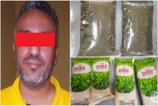 NCB seizes 6.9 kgs of illegal Khat leaves