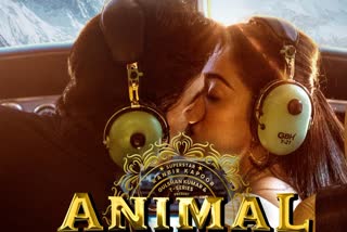 Animal Movie Box Office Collection