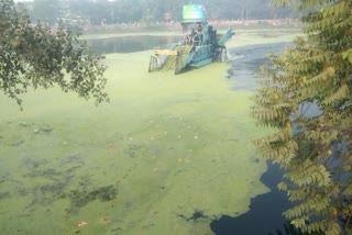 पटना के तालाब में सफाई करती खास मशीन
