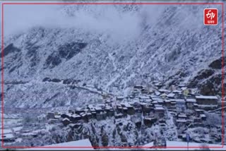 Fresh snowfall in Niti Valley