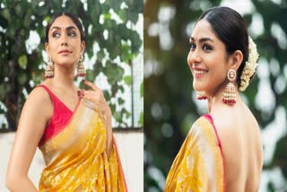 Mrunal Thakur Hi Nanna Movie