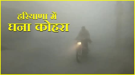 Yellow alert issued regarding dense fog in Haryana