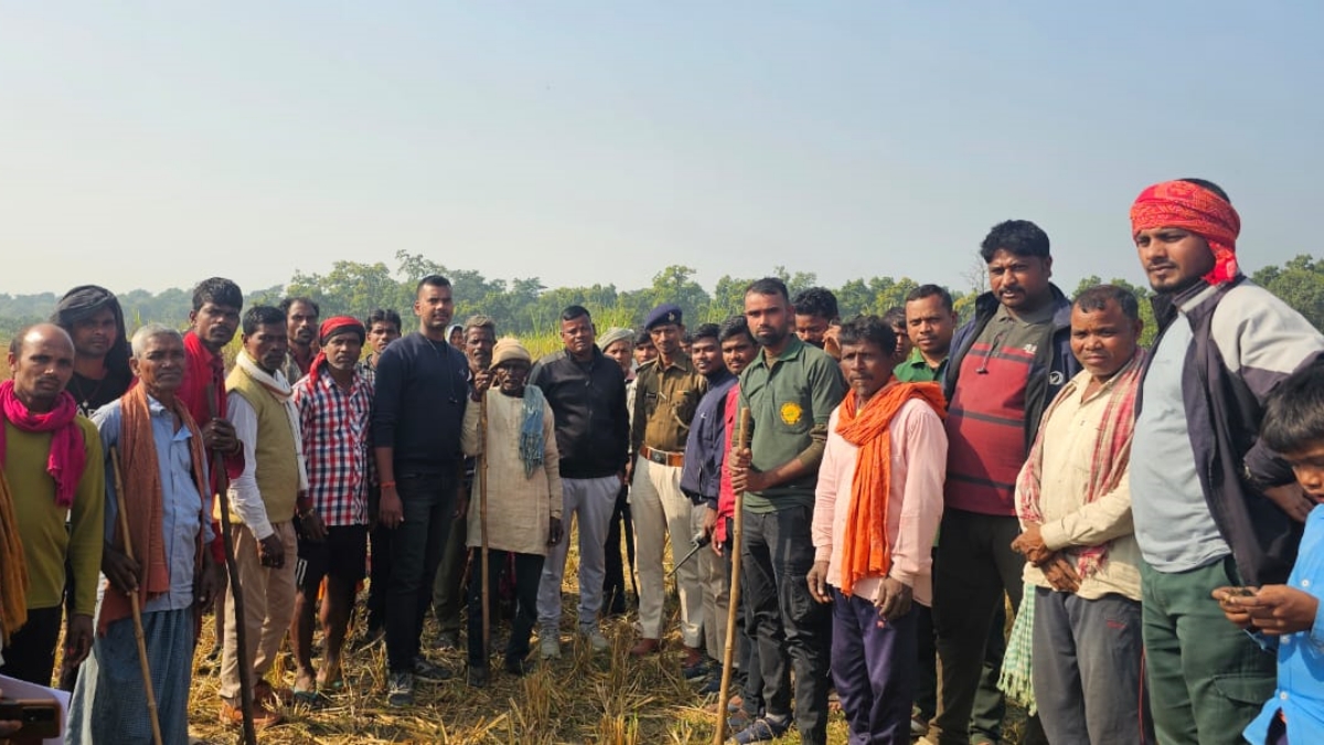 Tiger Attack In Bagaha