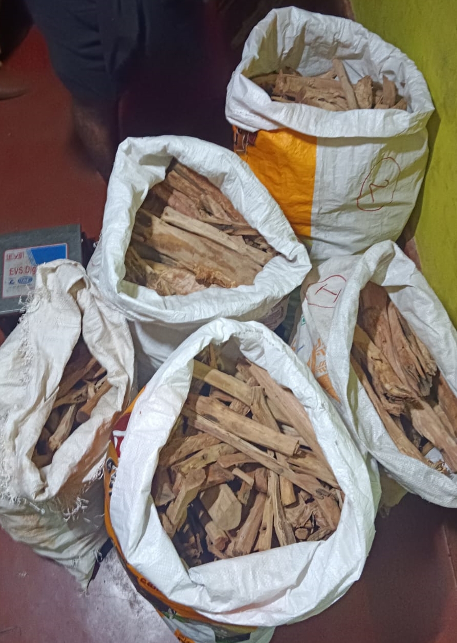 Sandalwood Cultivation Sale rules  Kerala Sandalwood  ചന്ദനമരം വില്‍ക്കാന്‍ ചെയ്യേണ്ടത്  ചന്ദനം വില്‍പന നിയമം