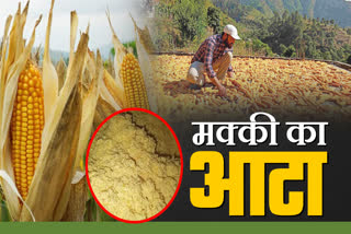 NATURAL FARMING MAIZE FLOUR